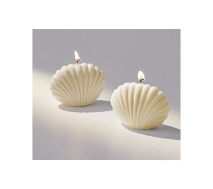 Shell shape soy candles